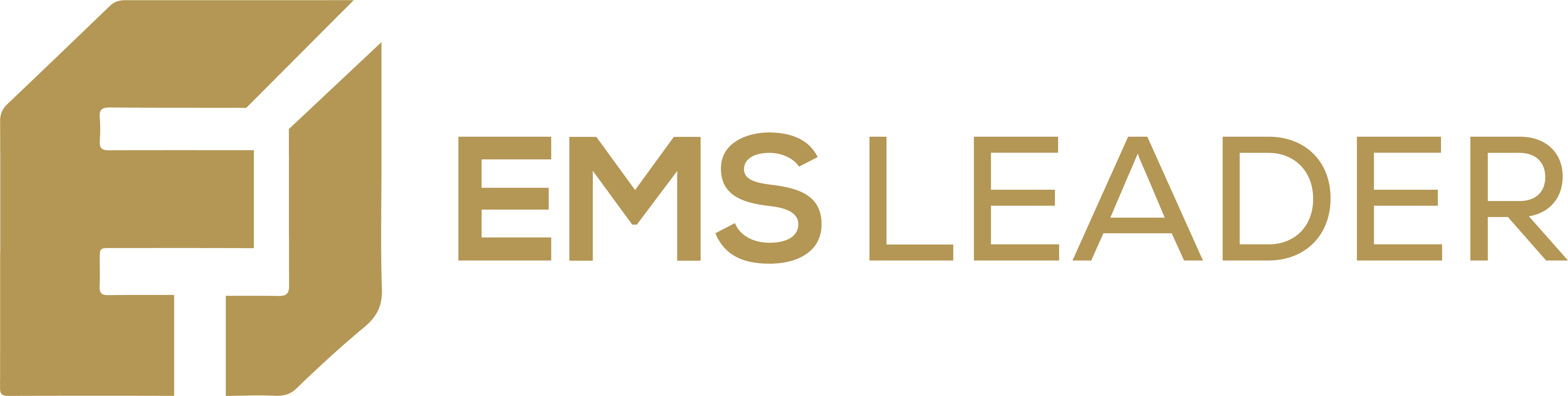 EMSLeader